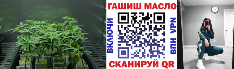 Дистиллят ТГК концентрат  закладки  Мытищи 